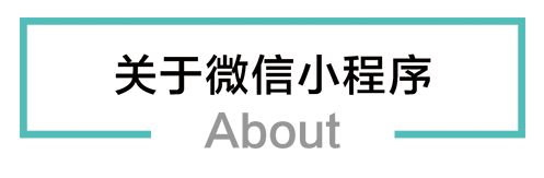 泸州网站建设微信小程序