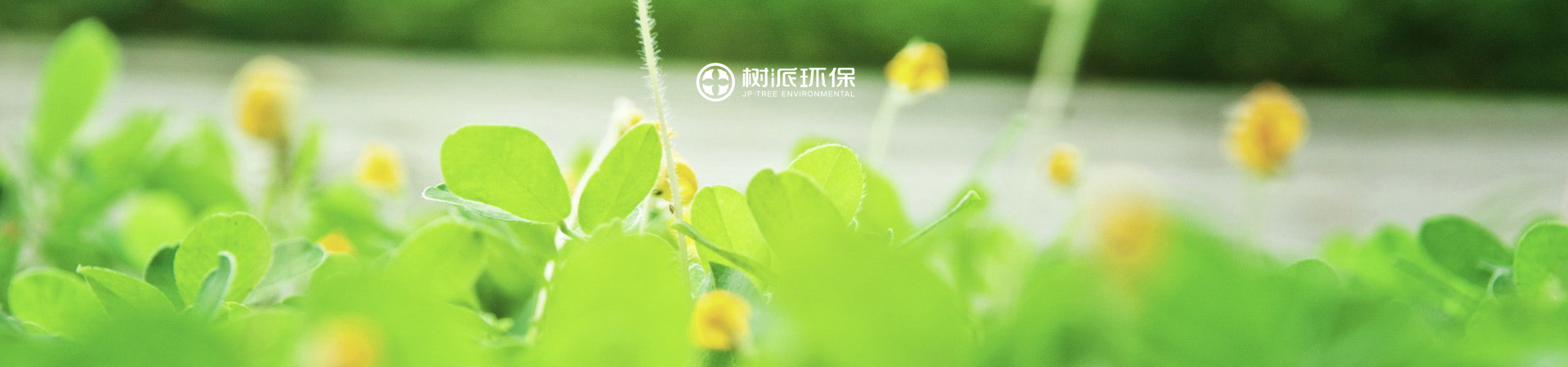 泸州树派环保科技有限公司官网