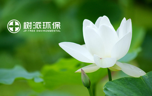 泸州树派环保科技有限公司官网